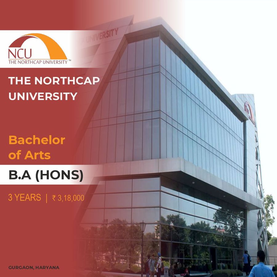 The Northcap University